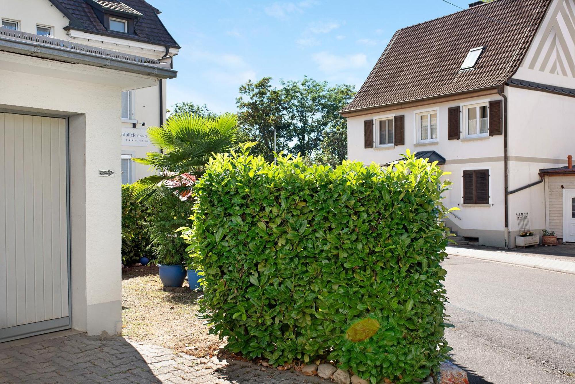 Bluehome Ferienwohnung บัดเบลลิงเงน ภายนอก รูปภาพ